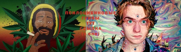 PSILOCYBIN Баксан