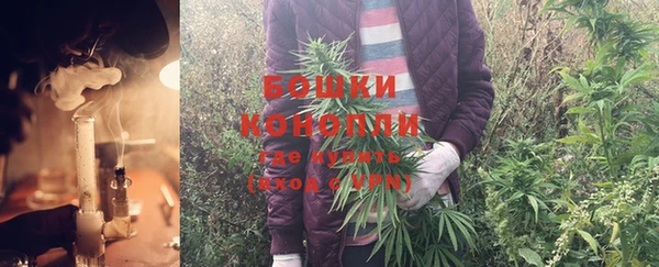 PSILOCYBIN Баксан
