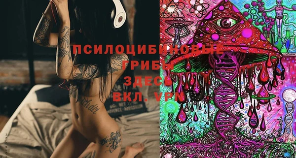 шишки Балабаново