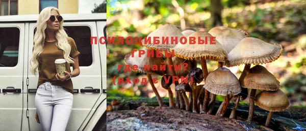PSILOCYBIN Баксан