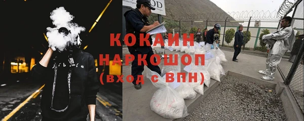 индика Аркадак