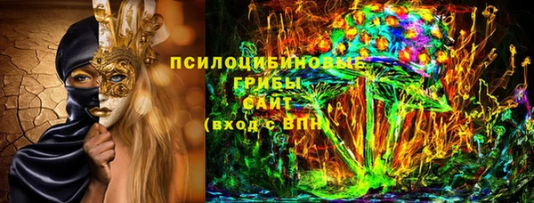 шишки Балабаново